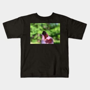 Hand holding pine cone Kids T-Shirt